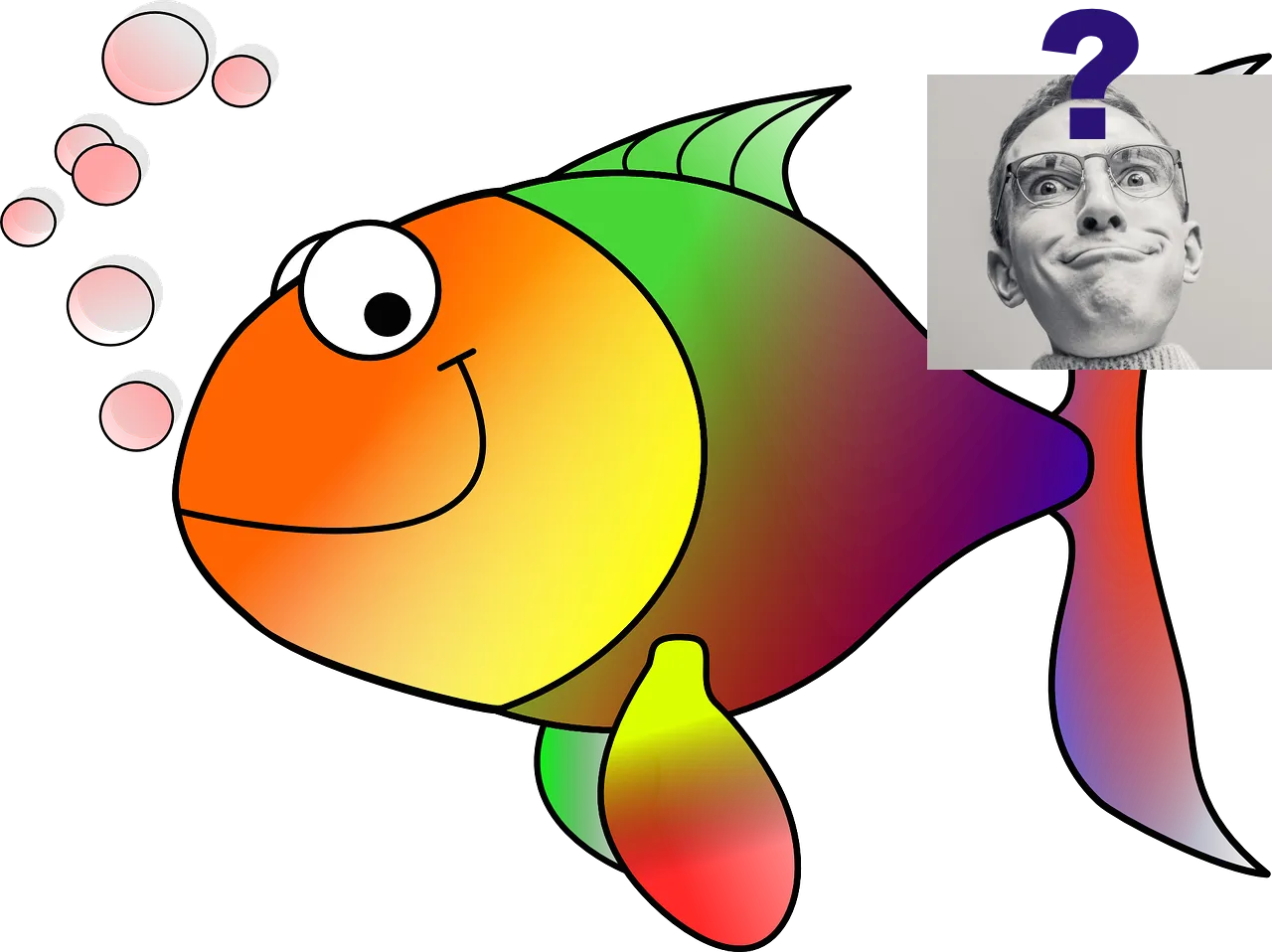 goldfish-30837_1280.png