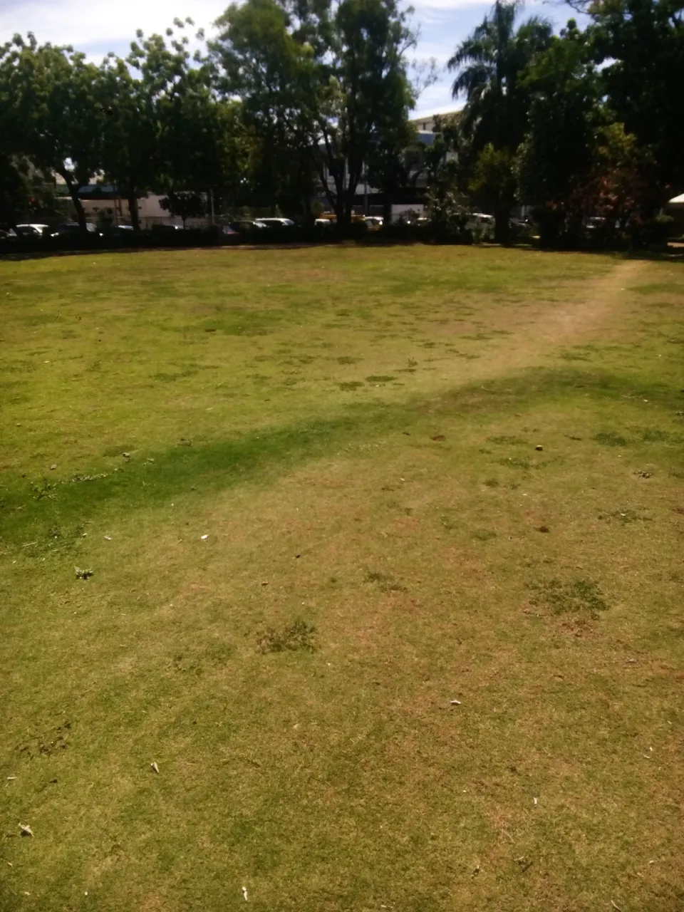 IMG_20180517_094731.jpg