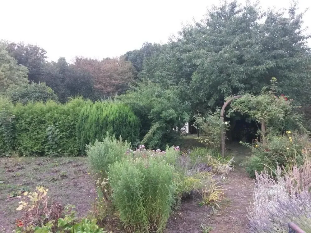cccc20160812_141431.jpg