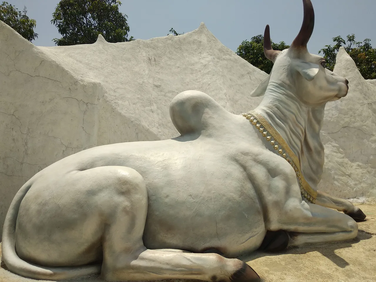 Nandi Cow - Photo Credits: Chetan Naik