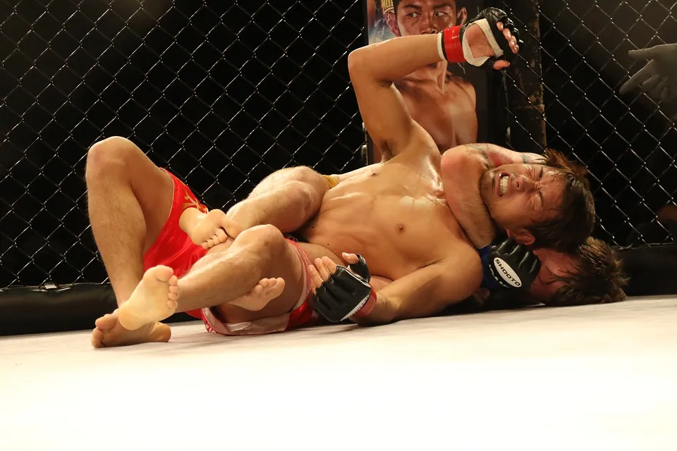 mma-2495816_960_720.jpg