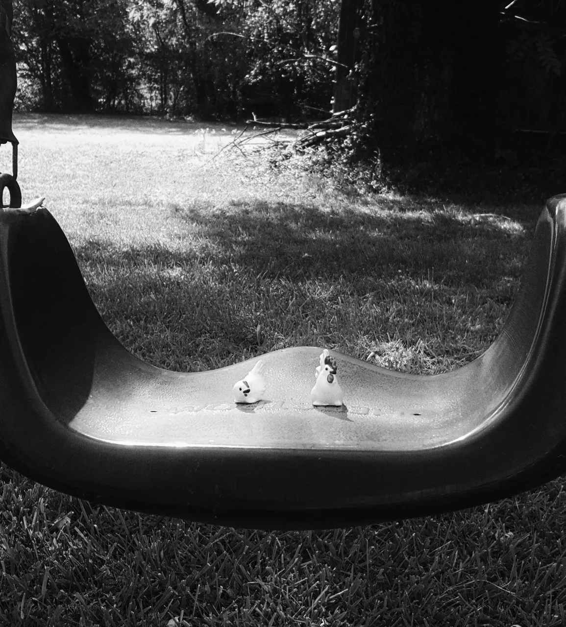 20170905_154625-01.jpeg