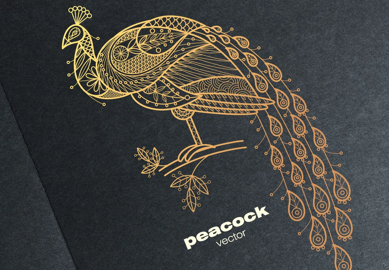 Bg-place-inside-psd.jpg