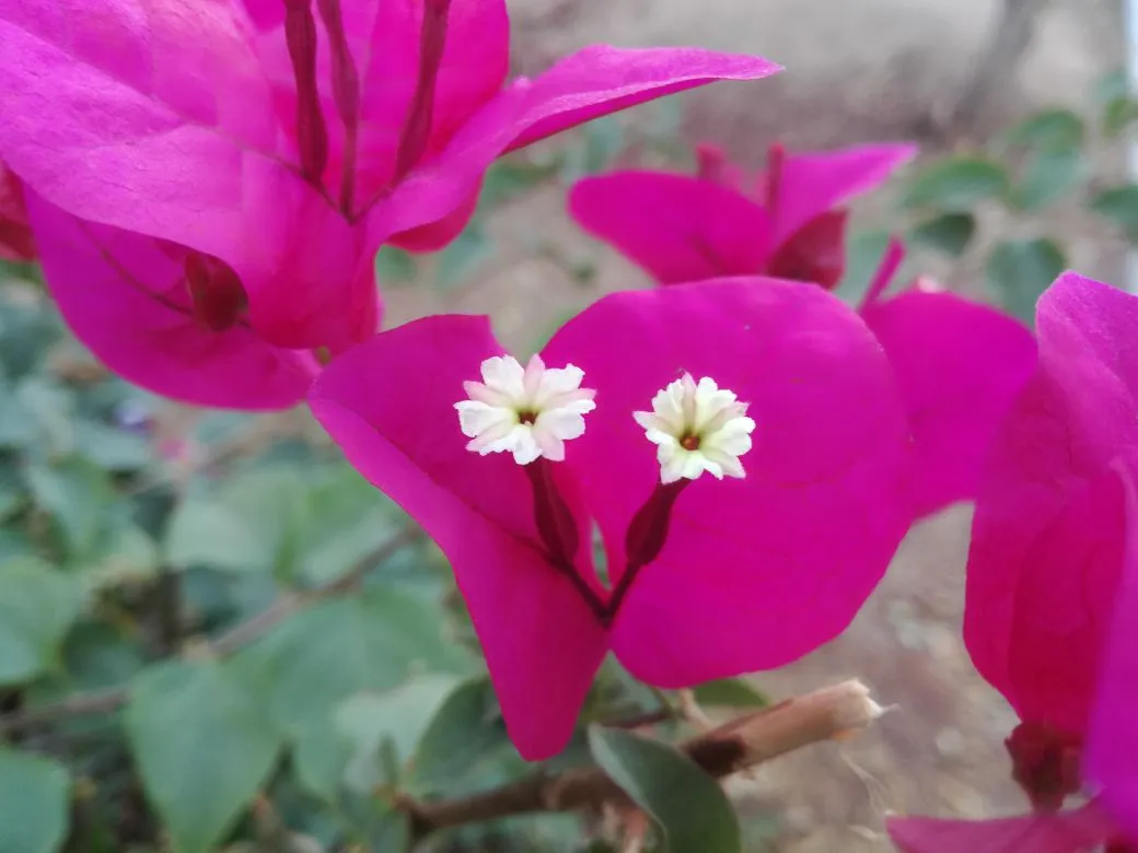 IMG-20180317-WA0005.jpg