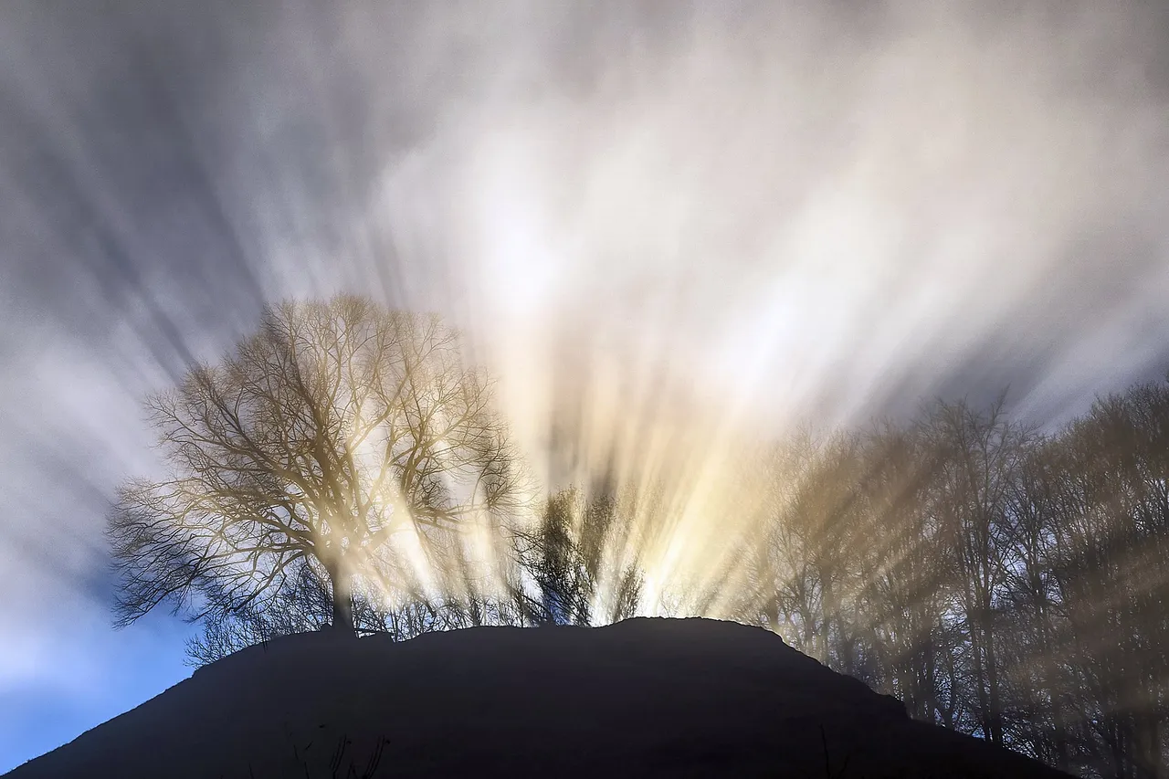 nature-3086518_1920.jpg