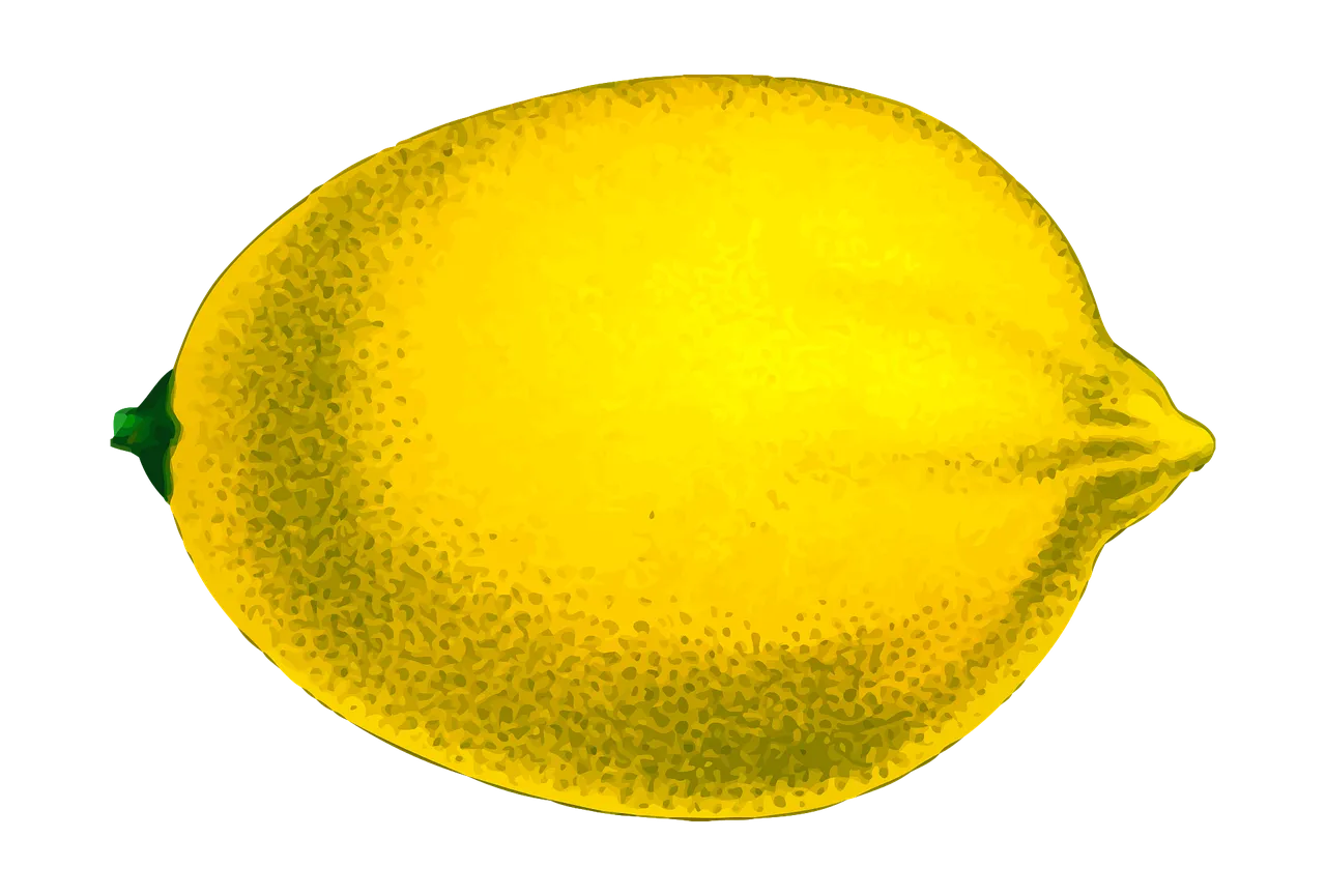 citrus-1299775_1280.png