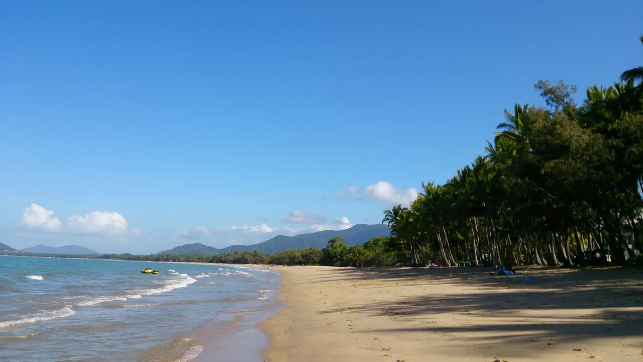 2016-PalmCove (3).jpg