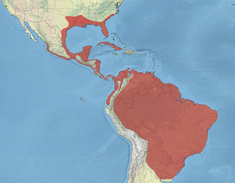 800px-Anhinga_Range.png