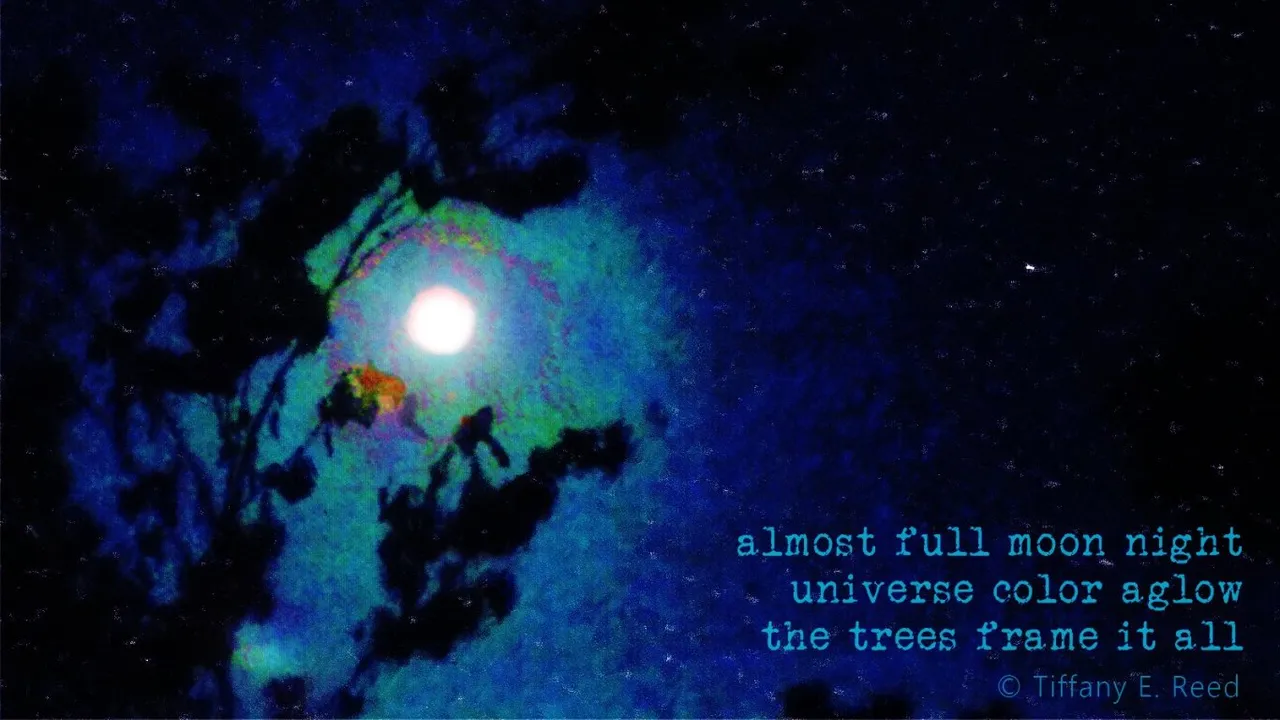 AlmostFullMoonNight.jpg
