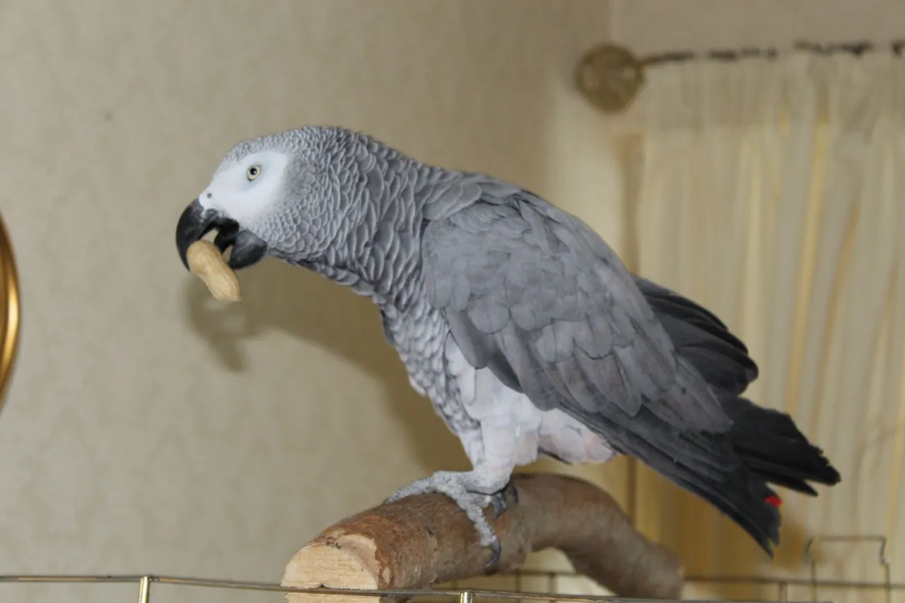 6243781952_IMG_0272.JPG