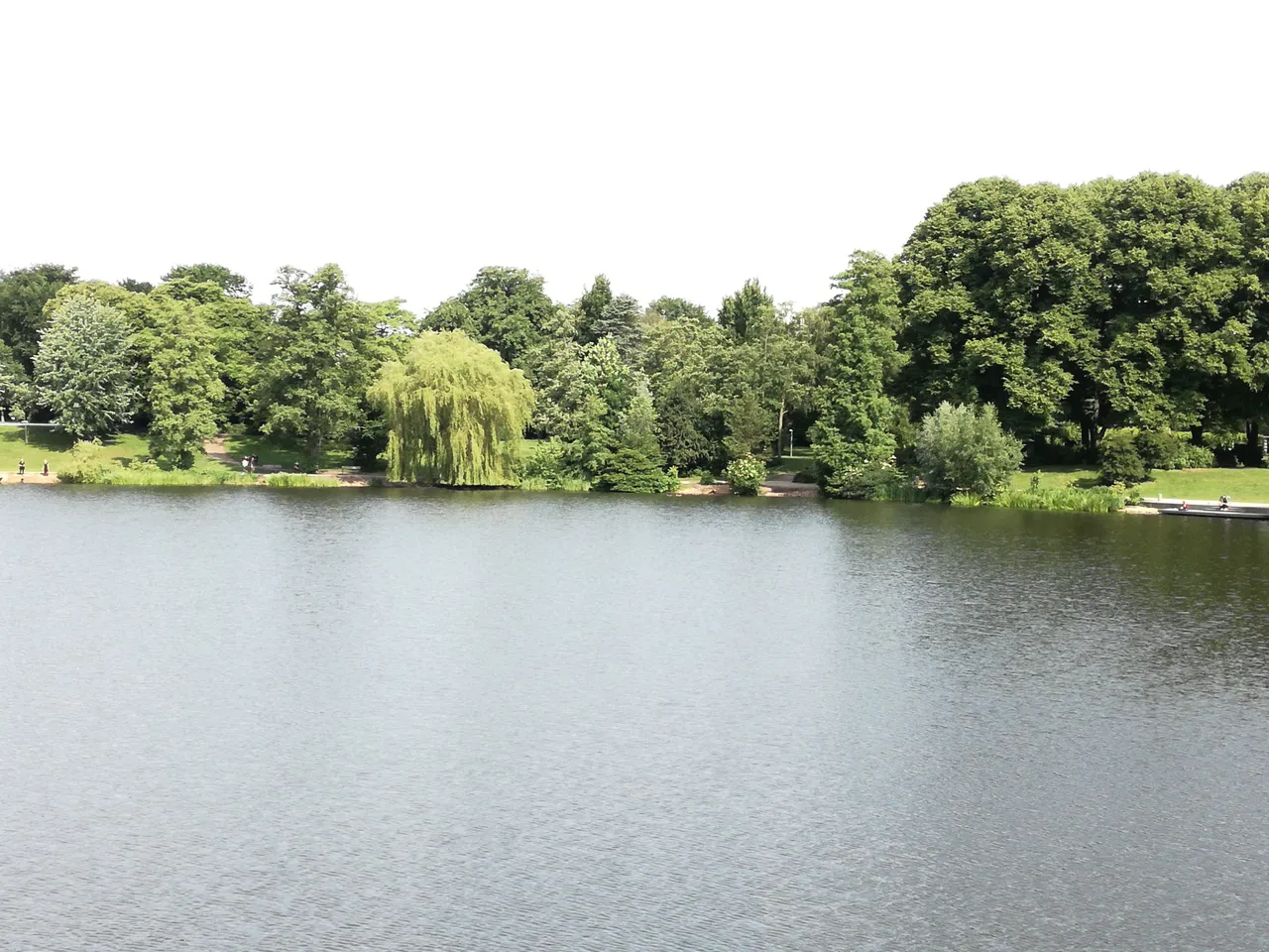 IMG_20170615_100556.jpg