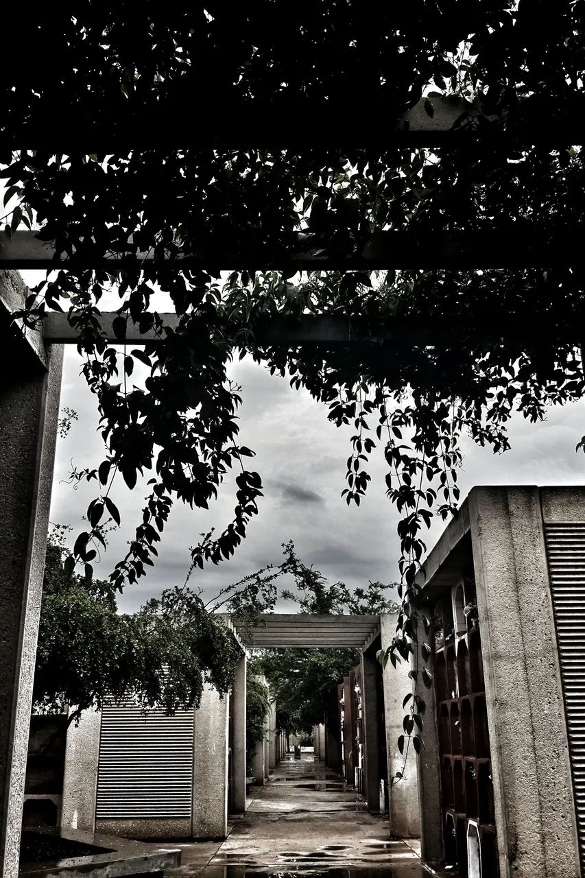 Cementerio Corazon San Sebastian, Angel R. Ferrer