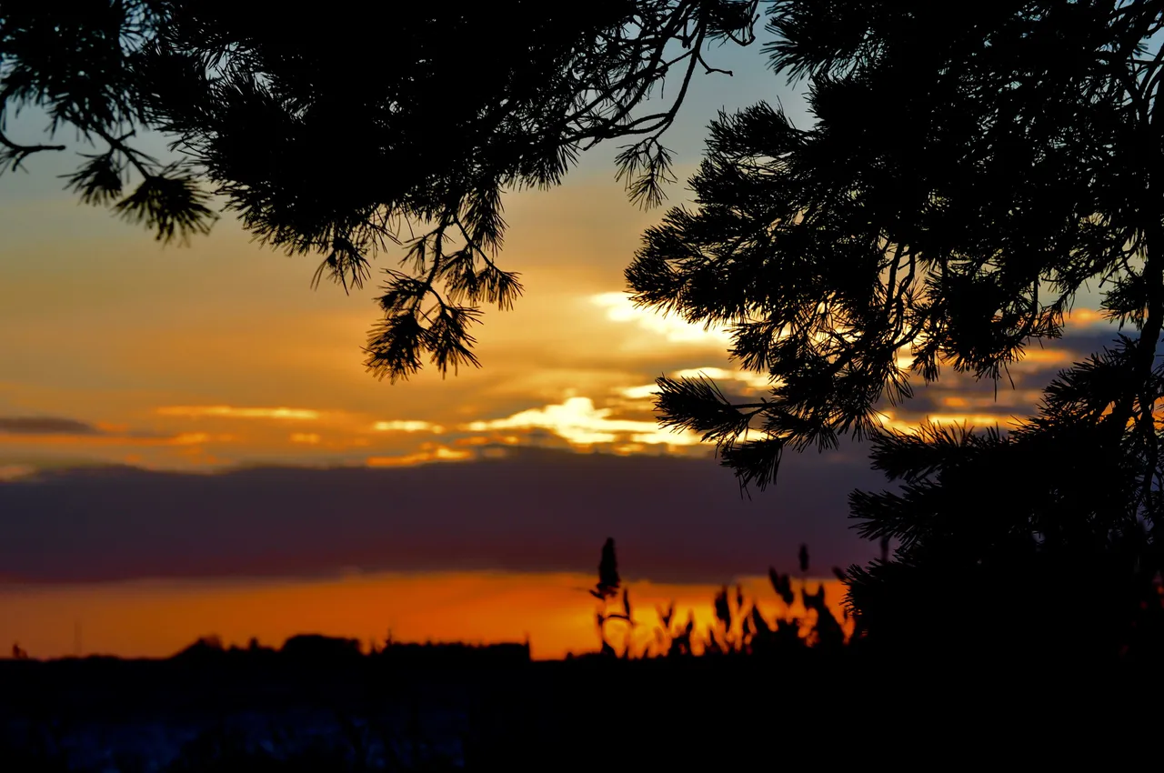 DSC_4597 19.42.49.jpg
