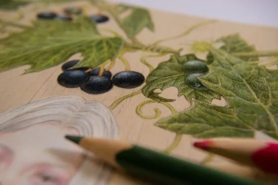 Bryonia_alba_detail.jpg