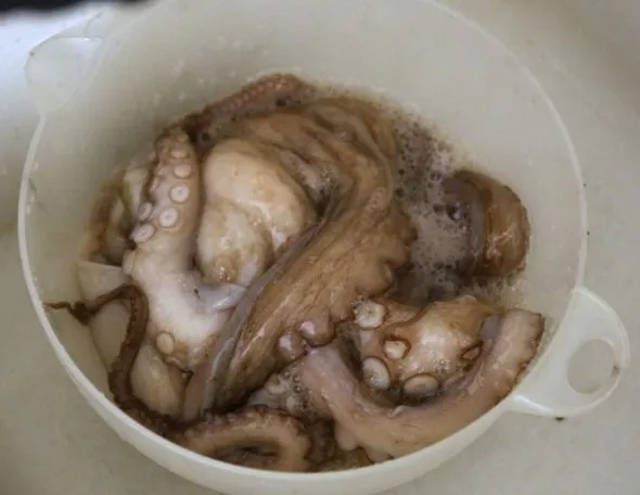octopus-rub-590x456.jpg