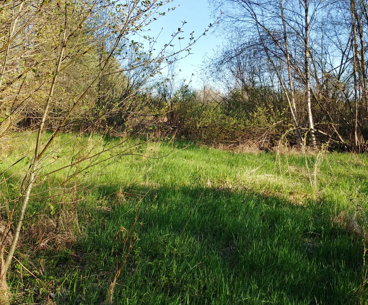20180509_192646_HDR.jpg