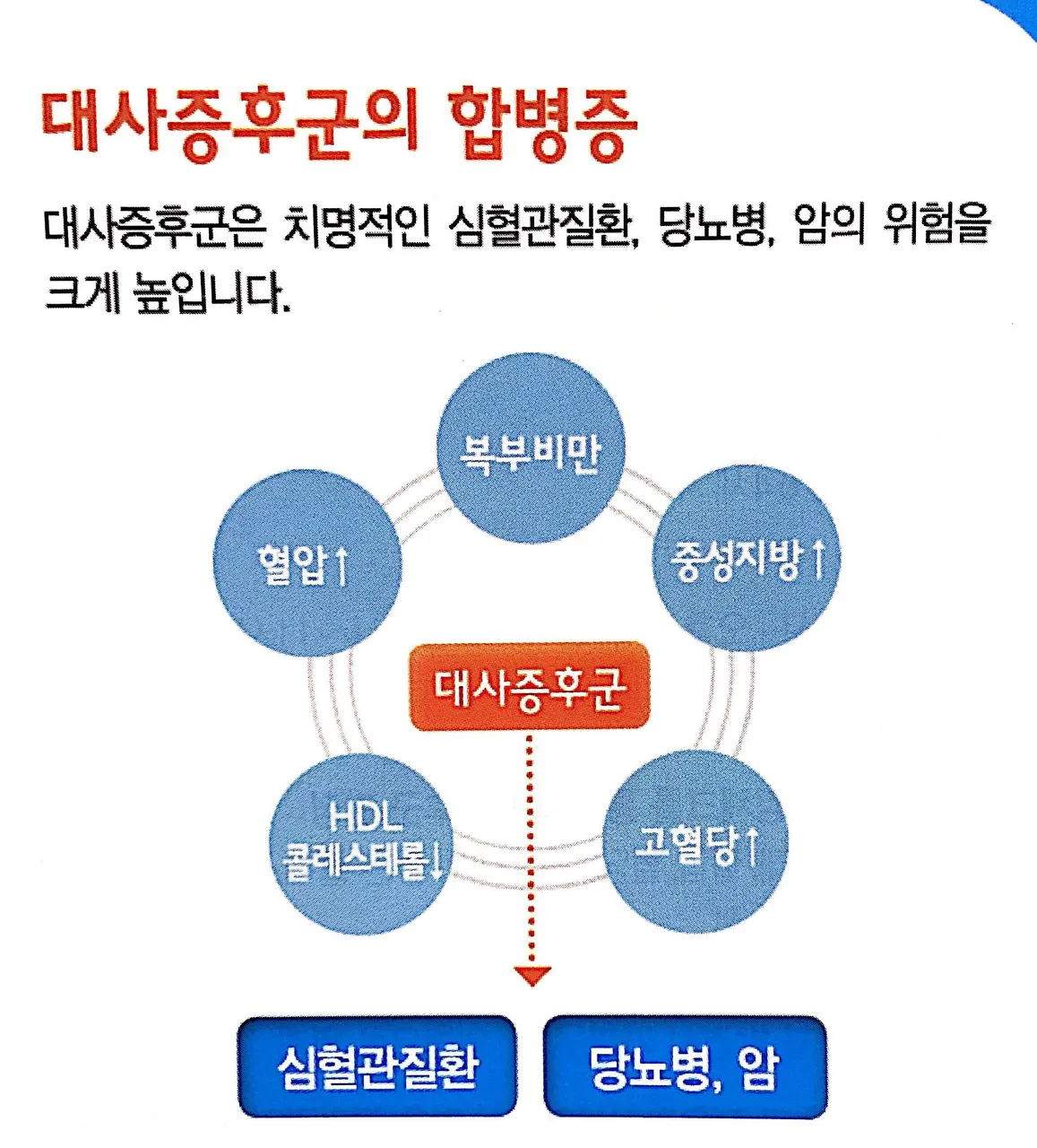 대사2.JPG