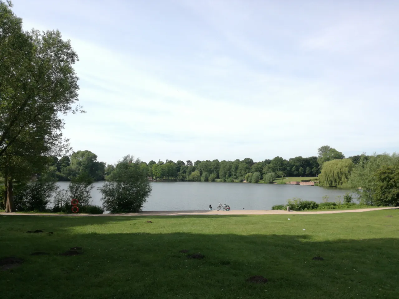 IMG_20170615_100050.jpg