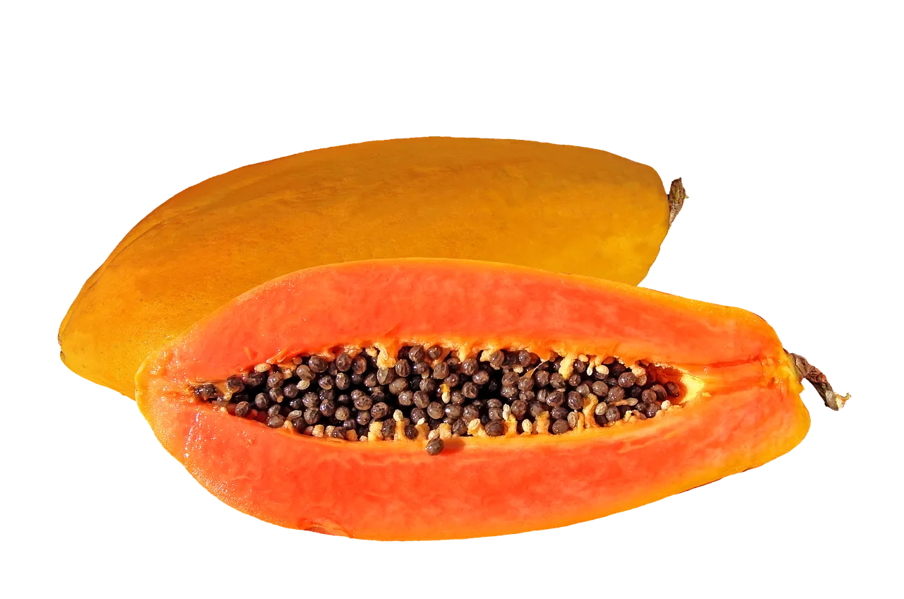 papaya-1055551_1280.png