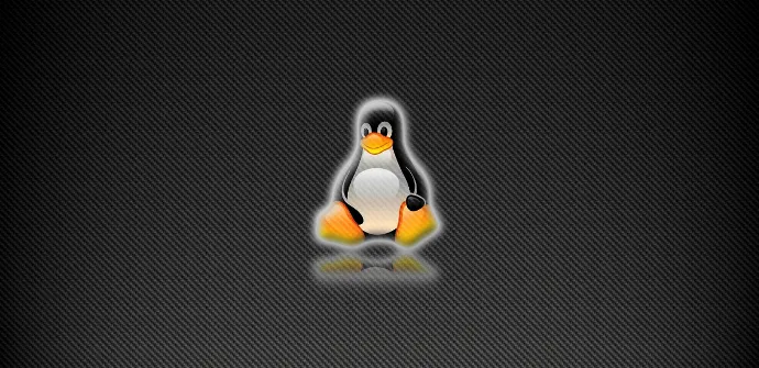 Linux-Fondo-Textura.png