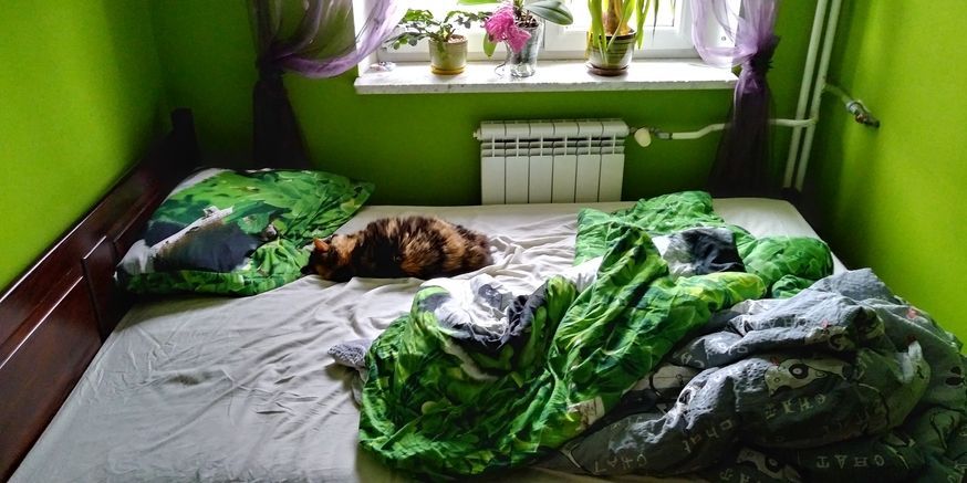 20180210_105500_hdr.jpg