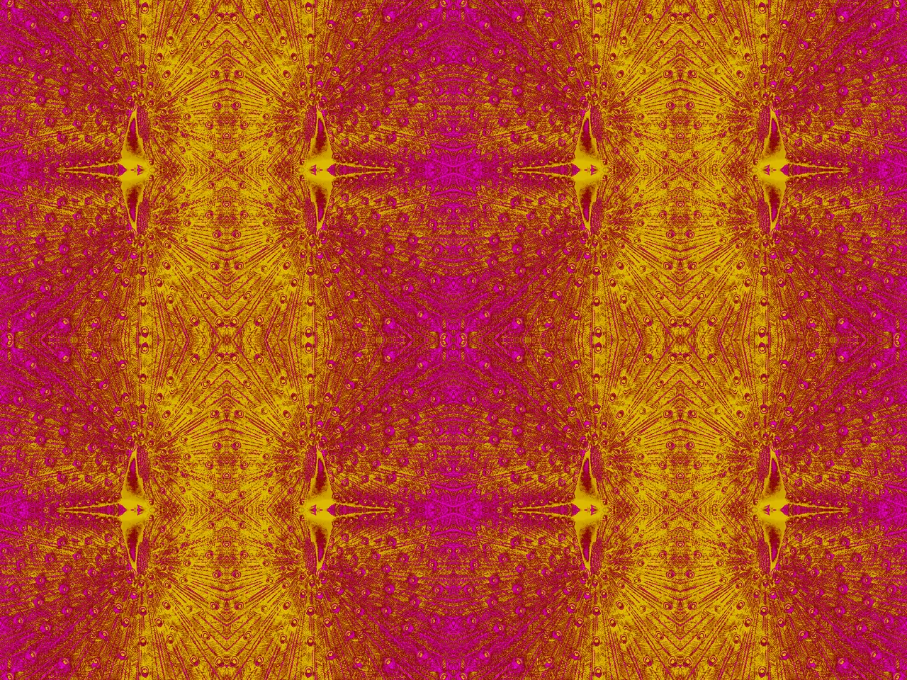 peacock array 2.jpg