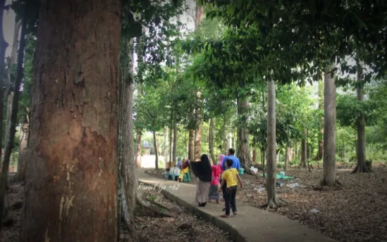 Hutan Lindung 4.jpg