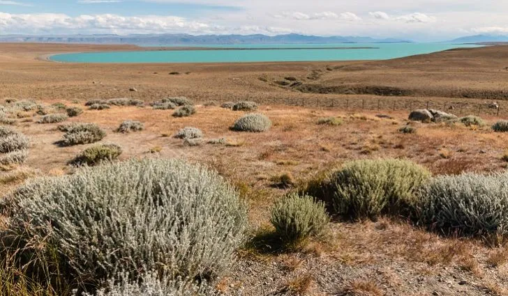 Patagonian Desert.jpg