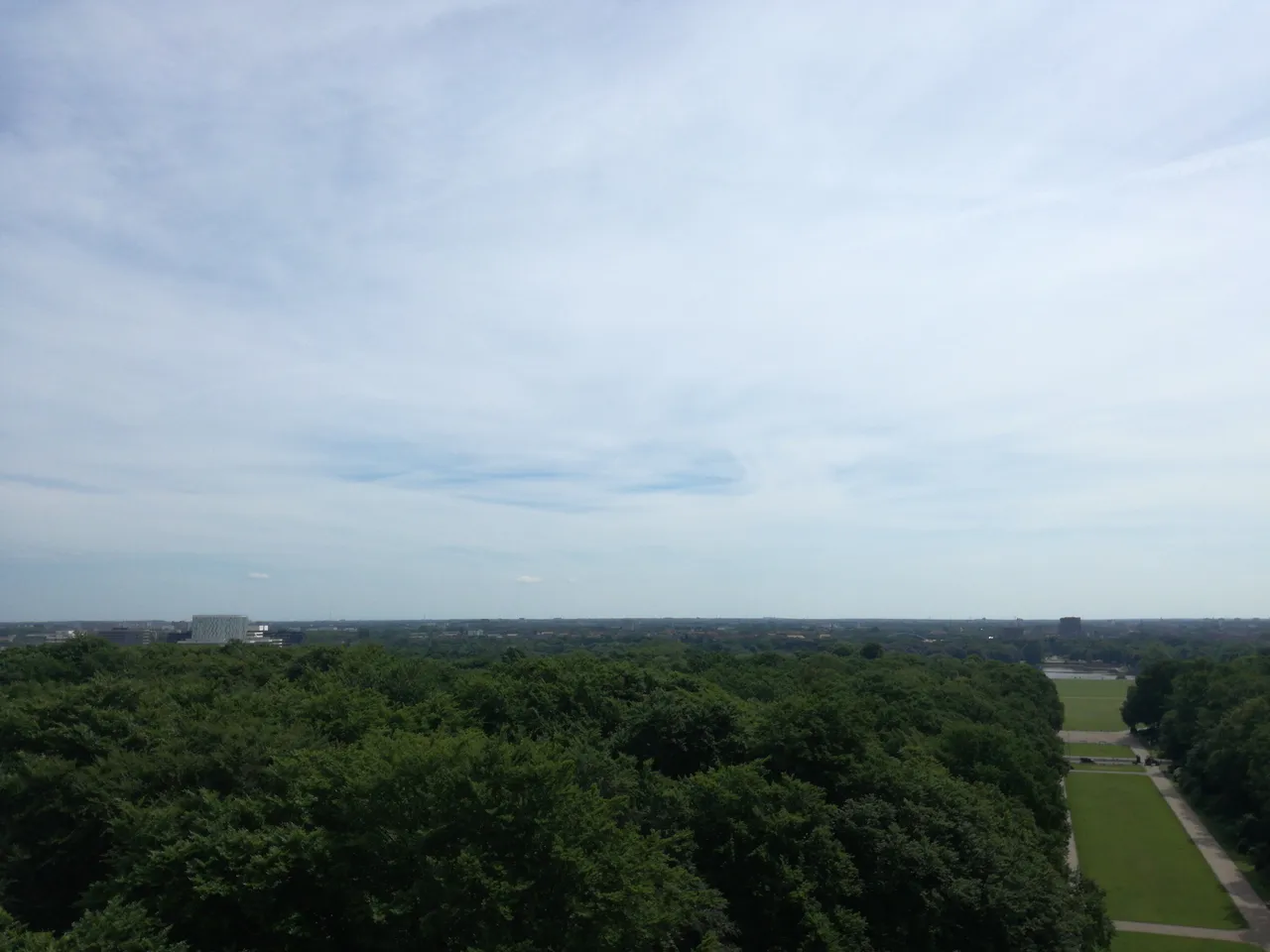 IMG_20170615_114205.jpg