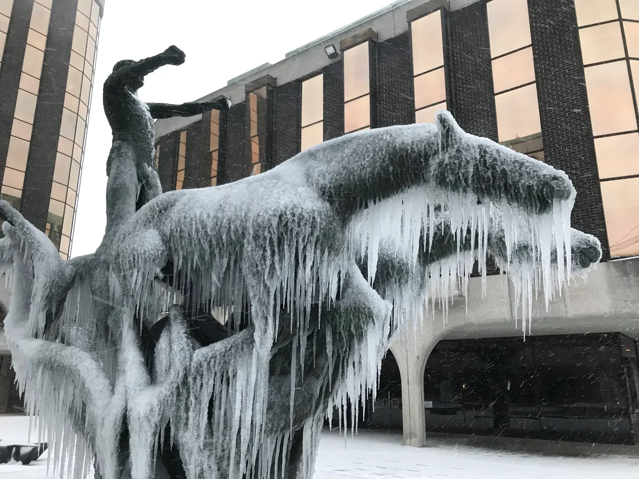 IMG_20180302_155307.jpg