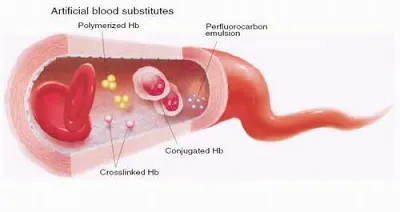 Blood substitutes.jpg