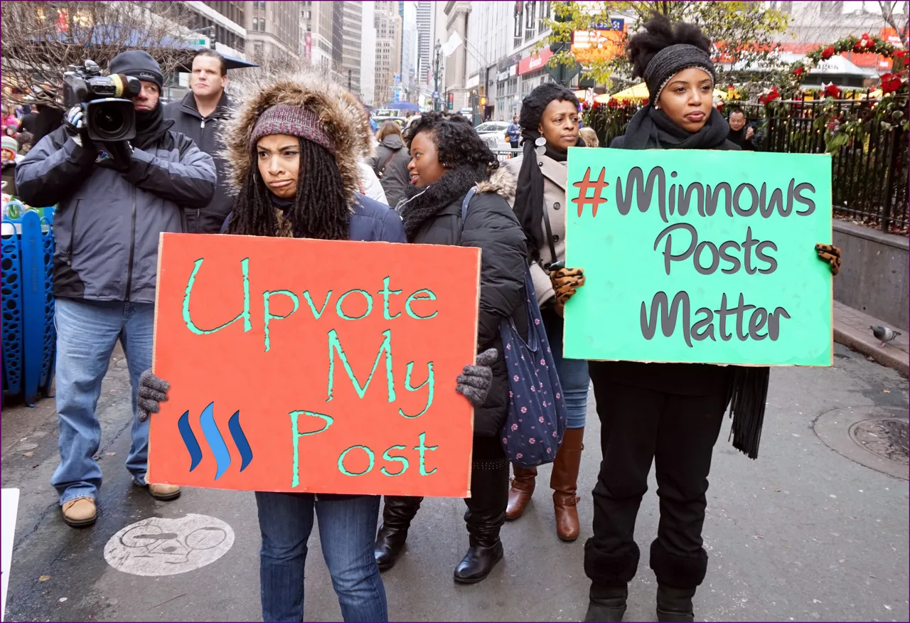Minnows-post-Matter.jpg