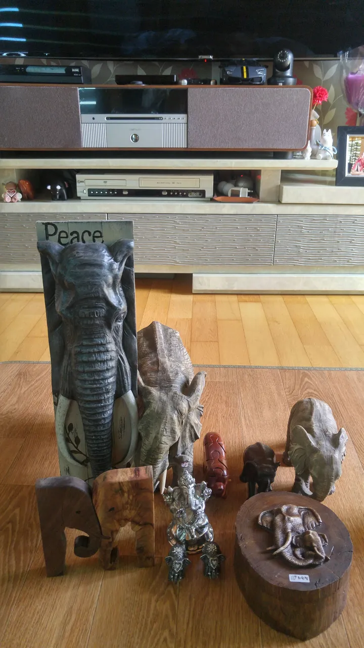 20170903_141933_HDR.jpg