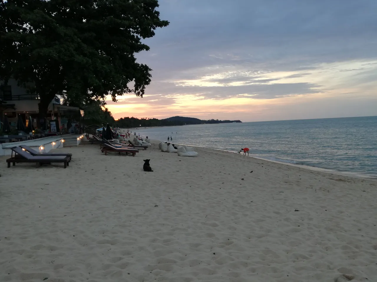 main_image
