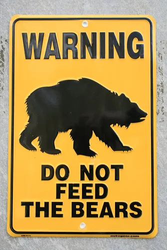 dont-feed-the-bears.jpg