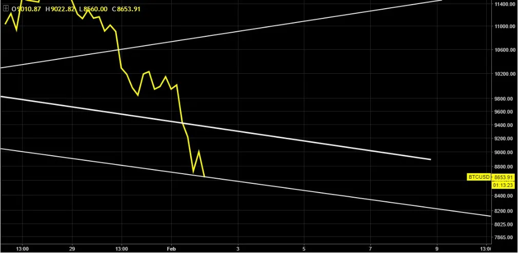 zoom btc yellow.jpg