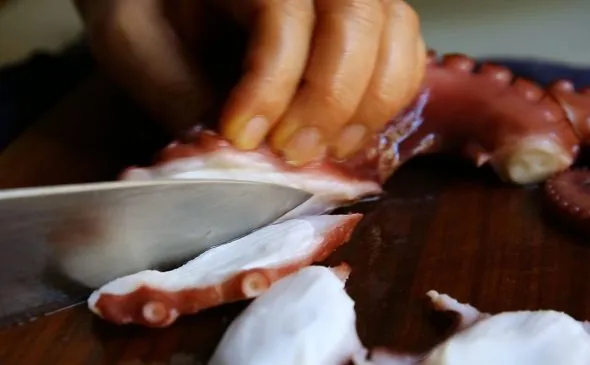 octopus-cut-590x365.jpg