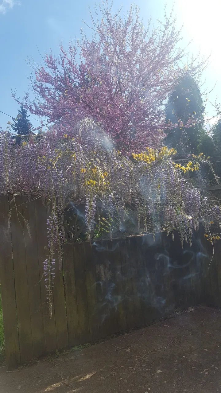 20180501_163502_001.jpg