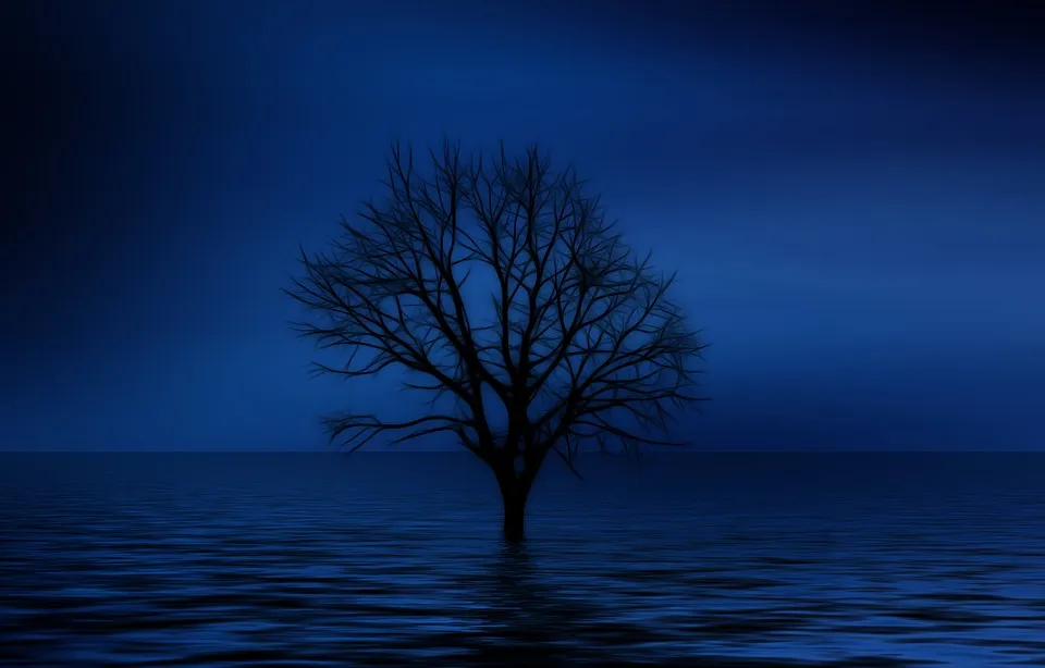 tree-738816_960_720.jpg