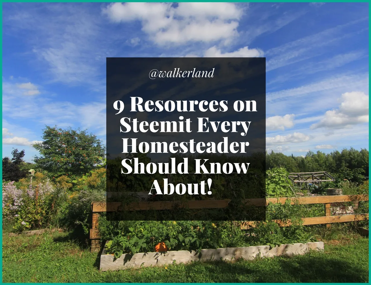 nine_resources_on_steemit_every_homesteader_should_know_about.jpg