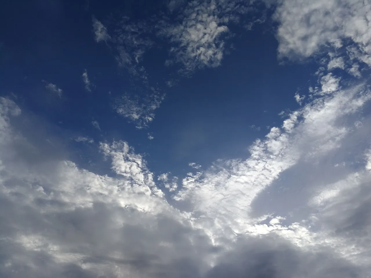 IMG_20180420_082408.jpg