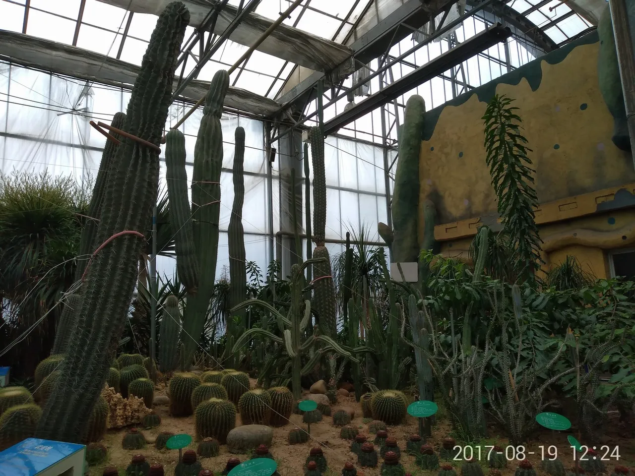 IMG_20170819_122452.jpg