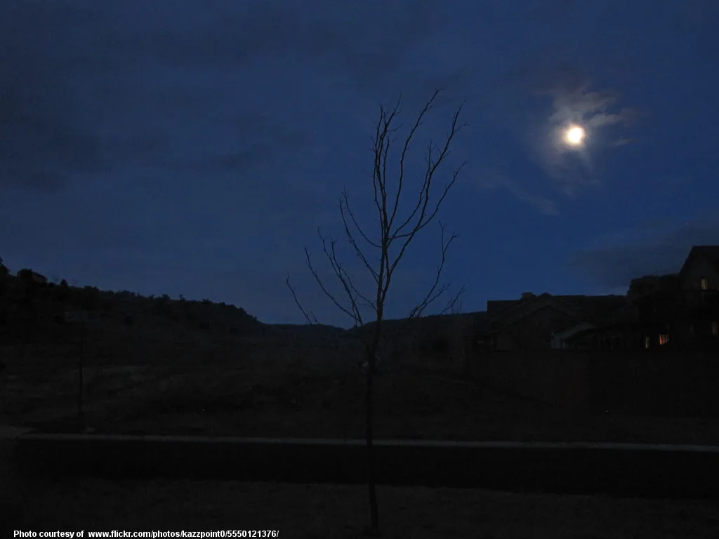 FullMoon-001-032418.jpg