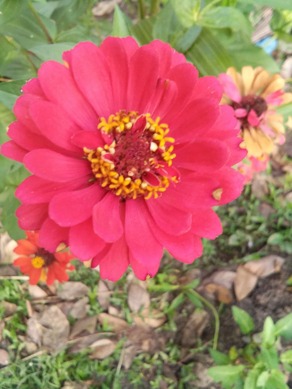 IMG_20180422_073605.jpg