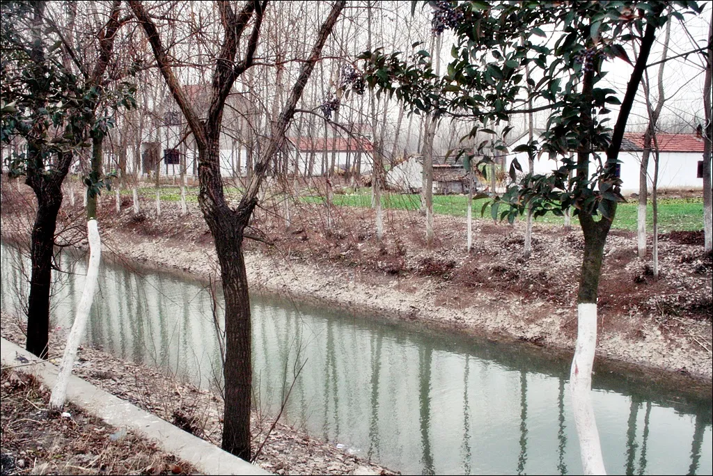 2009_12_15_15.43.38.jpg