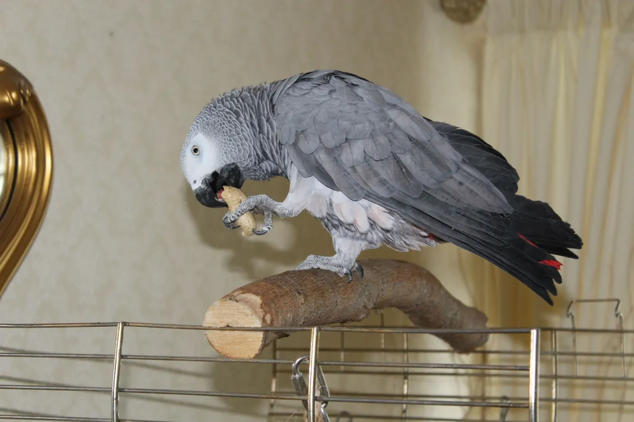 6243781952_IMG_0273.JPG