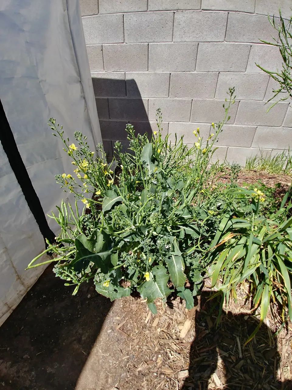 20180330_133811_HDR.jpg
