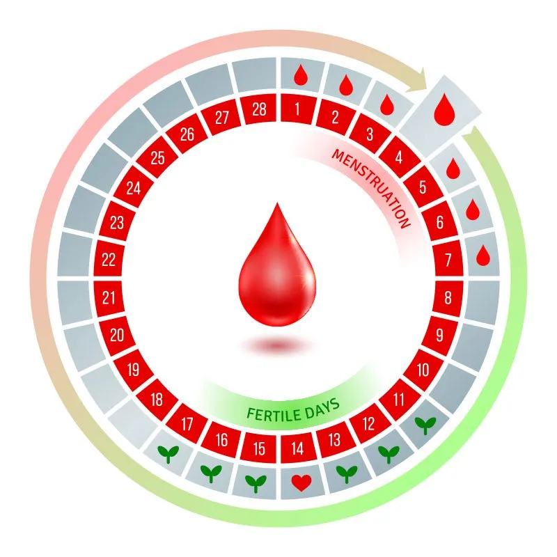 irregular-ovulation.jpg