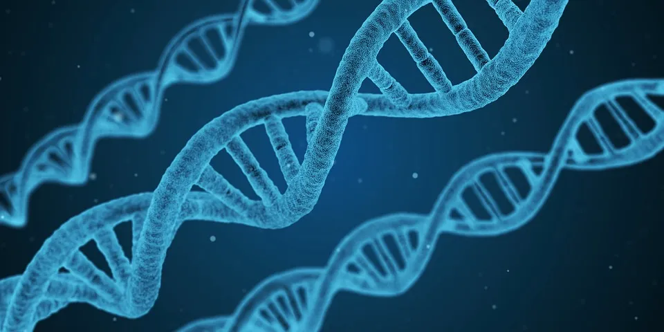 dna-1811955_960_720.jpg