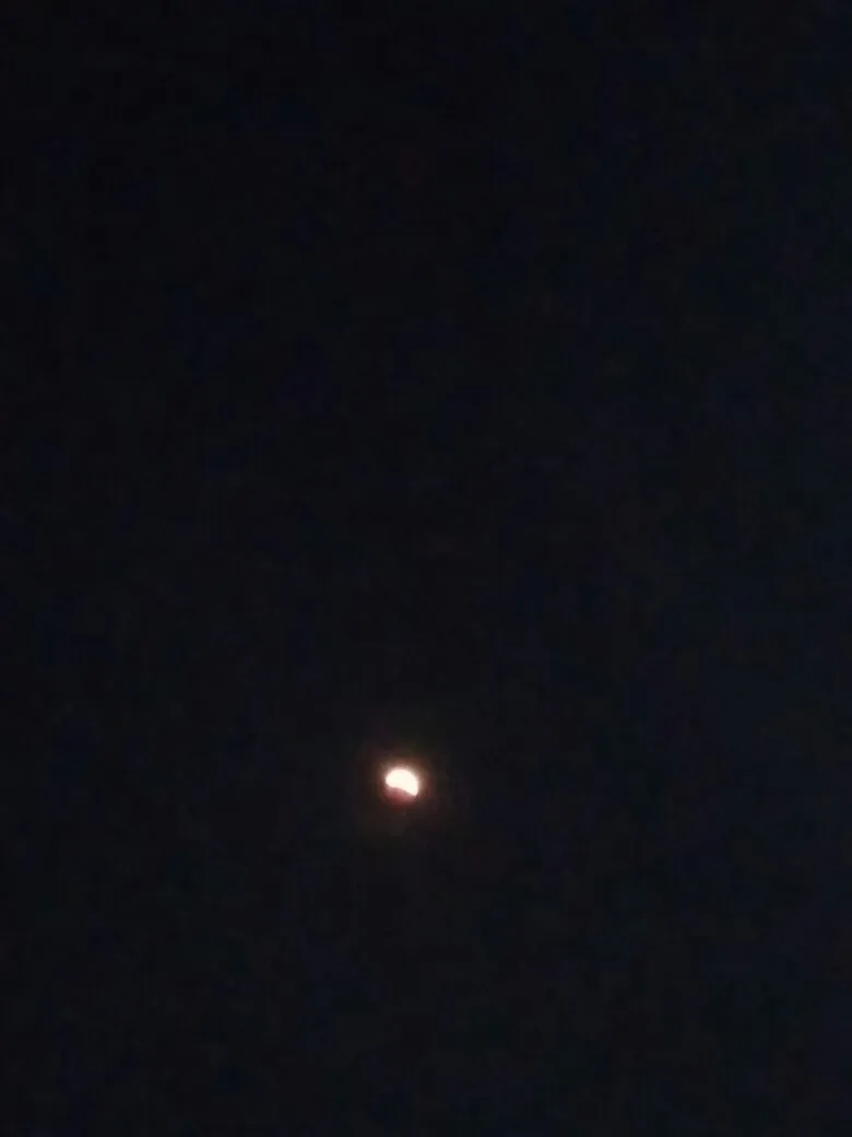 IMG-20180131-WA0024.jpg